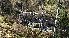 Belokurikha River