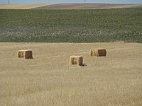 Tierras que pertenecieron al poblado de Quintanas