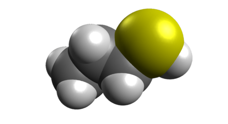 1-Propanethiol