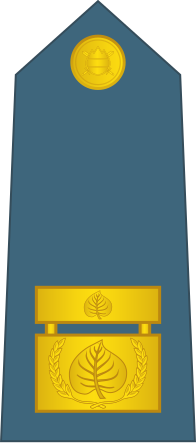 File:18-Slovenian Air Force-BG.svg