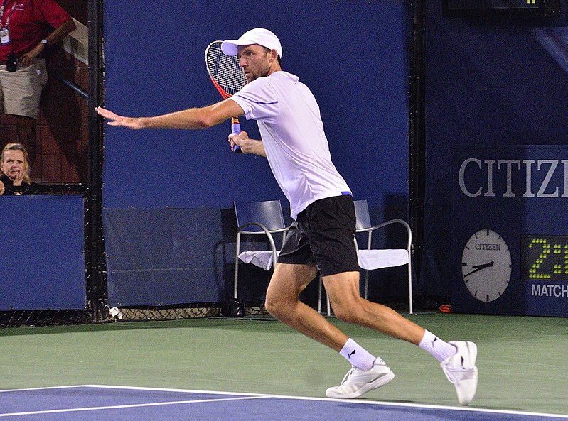 File:2013 US Open (Tennis) - Ivo Karlovic (9648763082).jpg