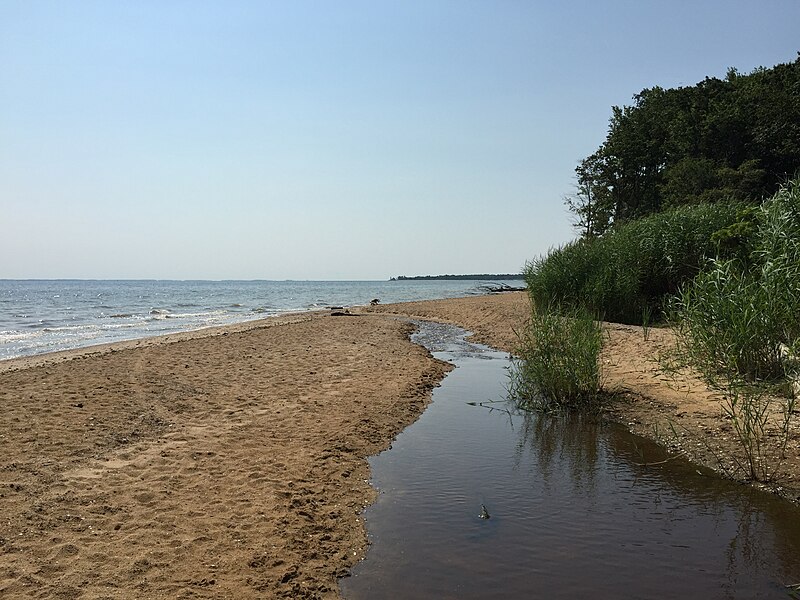 File:2016-07-20 10 22 37 View east down Grays Creek at its east end where it runs into the Chesapeake Bay in Calvert Cliffs State Park, Calvert County, Maryland.jpg