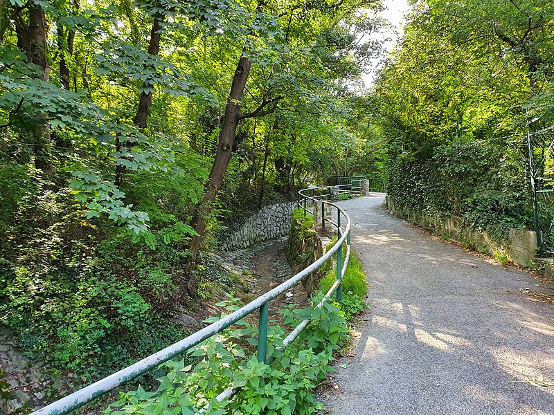 File:2019-09-19 (106) Wiener Stadtwanderweg 1 - Beethovengang and Schreiberbach, Vienna, Austria.jpg