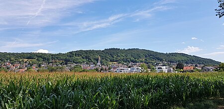 2020 Blick auf Gailingen