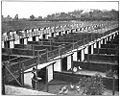 English: Government Farm.—Pens at Burnley, Victoria, for Egg-laying Competition.