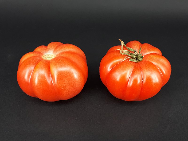 File:2 x Monterosa tomato 2017 B.jpg