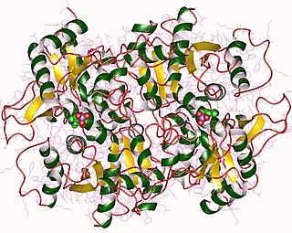 <span class="mw-page-title-main">Threonine synthase</span>