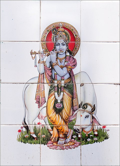 The iconography of popular Hindu deity Krishna often includes cows. He is revered in Vaishnavism.