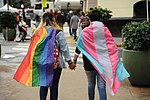 Miniatura para Riesgos de la comunidad LGBT