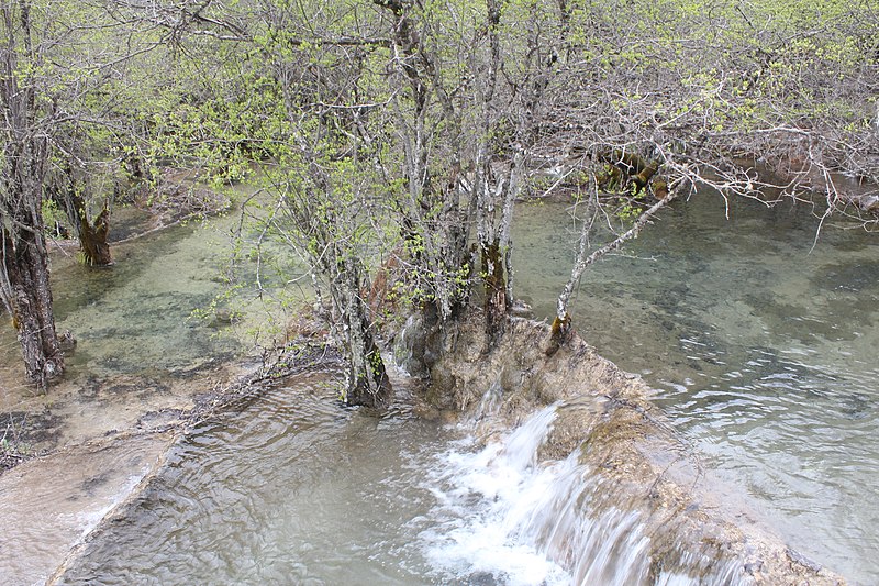 File:A6 2012 -06 -05 huanglong liuzusai - panoramio (2).jpg