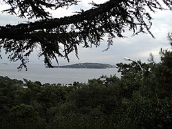 A view of Sedef Adası from Büyükada.