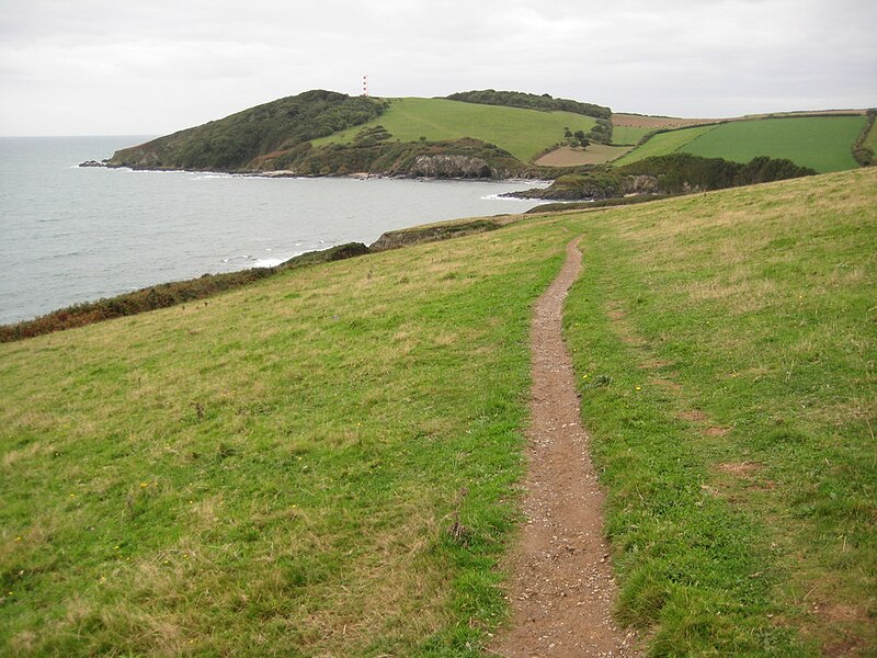 File:Above Lankelly Cliff - geograph.org.uk - 2103273.jpg