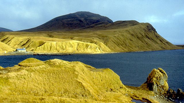 Adak's climate creates a tundra.