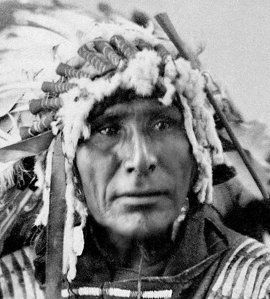 File:Afraid Of The Bear-Ma-To-Ko-Kepa. Cut Head, Sioux, 1872 - NARA - 519024restoredh (cropped).jpg