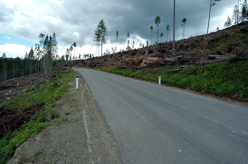 File:Albeck Hochrindl Landesstrasse L65 26072008 55.jpg