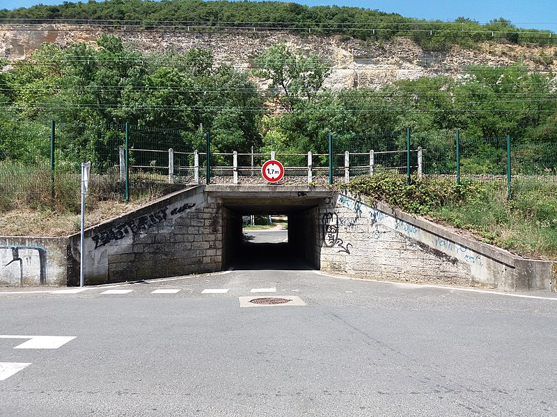 File:Albigny-sur-Saône - Pont de chemin de fer au bout du chemin des Carrières.jpg