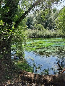 Le sorgenti del fiume Pescara