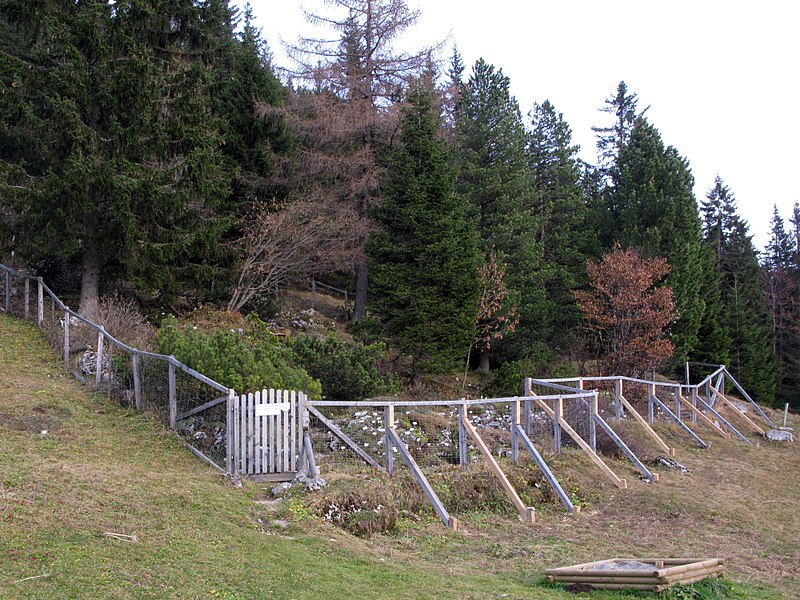 File:Alpenpflanzengarten im Herbst.jpg