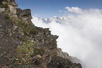 At Schilthorn