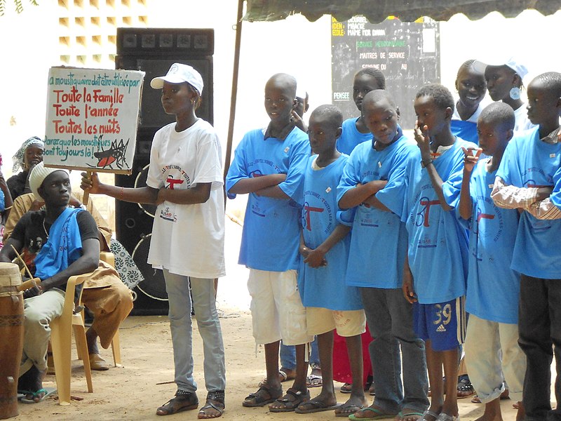 File:Anti-Malaria Event in Mbacké, Senegal (6096153901).jpg