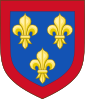 Coat of arms of อ็องฌู