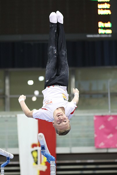 File:Austrian Future Cup 2018-11-23 Training Afternoon Parallel bars (Martin Rulsch) 0897.jpg