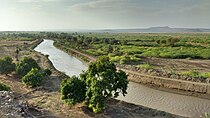 Wet season shrublands on the Janubi Coast