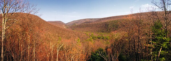 Bald Eagle State Forest vista from Pine Swamp Road in Centre County