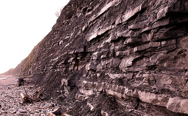 Strata of "Secondary rock", Lyme Regis