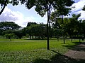 Botanic Garden of Ciudad Bolívar.jpg