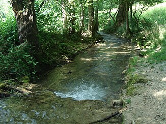 Der Brühlbach zwischen Wasserfall und Bad Urach