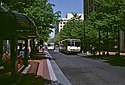 Buses on the Portland Mall in 1988, on 5th north of Wash. St.jpg