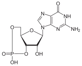 Phosphodiesterase Class of enzymes