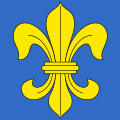 File:Drapeau Royaume de France 1815-1830.jpg - Wikipedia