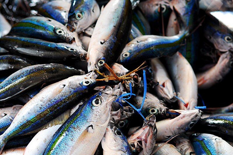 File:Caesio caerulaurea (Port Moresby Fish Market).jpg