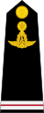 Cambodian Air Force OR-08.svg