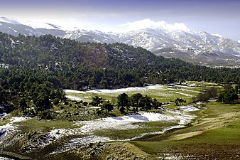 Northern slopes of the Sierra de Gredos mountain range