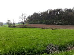 Parc Castiglione delle Stiviere-Morainic Hills.jpg