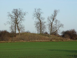 Swine Castle Hill Castle Hill, Swine (2) - geograph.org.uk - 651580.jpg