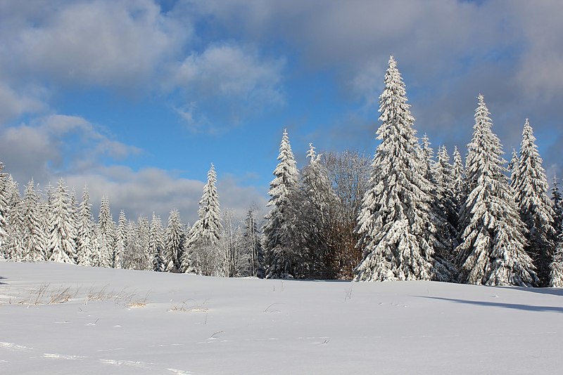 File:Castle Vitkuv hradek winter - panoramio.jpg