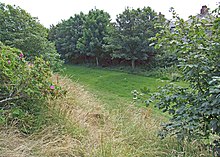 Cavendish Park, once a major railway junction on the island