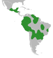 Range of Chaetocalyx brasiliensis