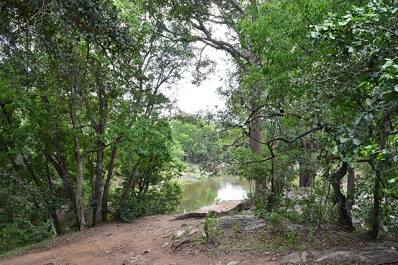 File:Chinnar Wildlife Sanctuary DSC 5838.jpg