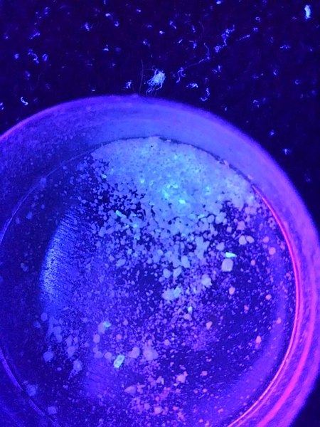 File:Cocaine under UV light 02.jpg