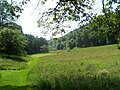 Colby Woodland Garden