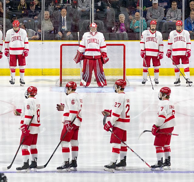 File:Cornell ice hockey players March 2019 (cropped).jpg