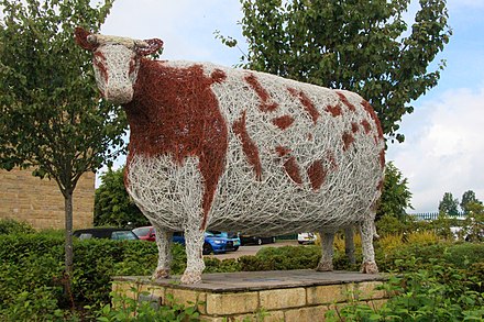 "Craven Heifer" sculpture at Great Yorkshire Showground: this vast beast lived 1807-12