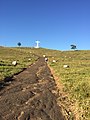 Cristo - fazenda Batistela - Cosmópolis SP - panoramio (2).jpg