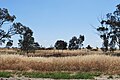 English: Site of the former state school at en:Crymelon, Victoria