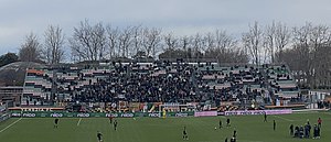 Venezia Football Club: Storia, Cronistoria, Colori e simboli